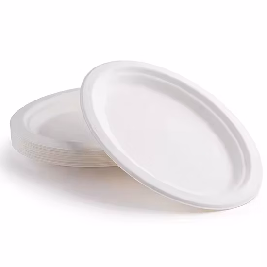 Biodegradable Bagasse Pulp Disposable Fully Degradable to-Go Lunch Box Plate Bowl Salad Box Dessert Tableware Compostable Plates and Cutlery
