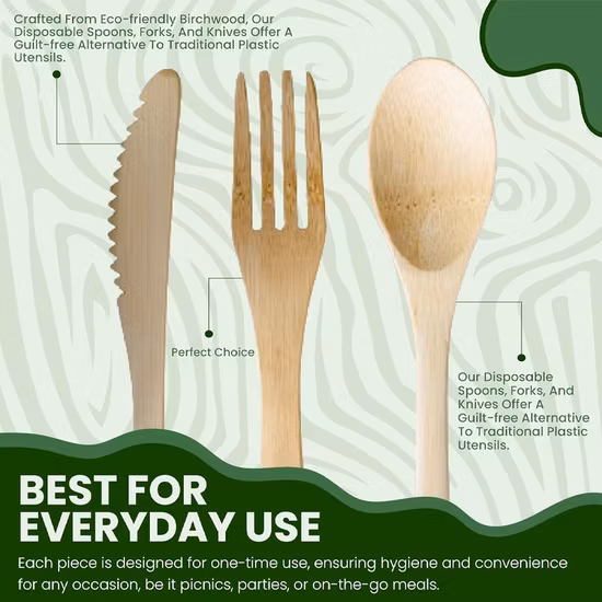 Disposable Wooden Spoons and Fork Environmentally Friendly Biodegradable Wood Tableware Cutlery Set