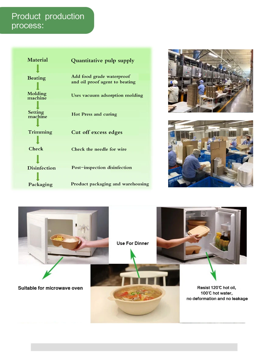 Hot-Selling Tableware, Bagasse, 100% Biodegradable Disposable Cutlery