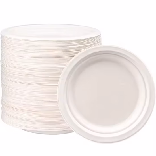 Biodegradable Bagasse Pulp Disposable Fully Degradable to-Go Lunch Box Plate Bowl Salad Box Dessert Tableware Compostable Plates and Cutlery
