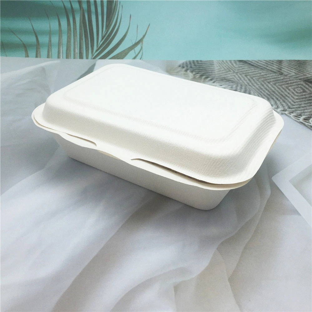 100% Biodegradable Sugarcane Bagasse Takeaway Food Container