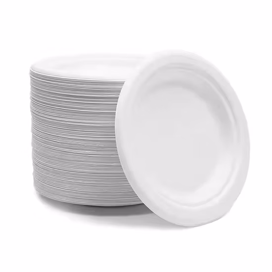 Biodegradable Bagasse Pulp Disposable Fully Degradable to-Go Lunch Box Plate Bowl Salad Box Dessert Tableware Compostable Plates and Cutlery