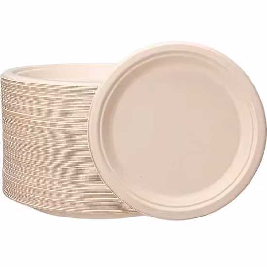 Biodegradable Bagasse Pulp Disposable Fully Degradable to-Go Lunch Box Plate Bowl Salad Box Dessert Tableware Compostable Plates and Cutlery