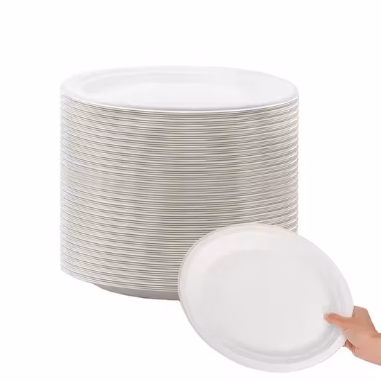 Biodegradable Bagasse Pulp Disposable Fully Degradable to-Go Lunch Box Plate Bowl Salad Box Dessert Tableware Compostable Plates and Cutlery
